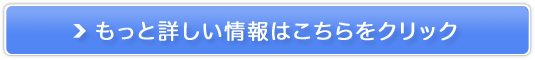 iq󌔂ɐMƎсyskyticketz̔TCg